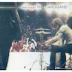 Lovefool par The Cardigans